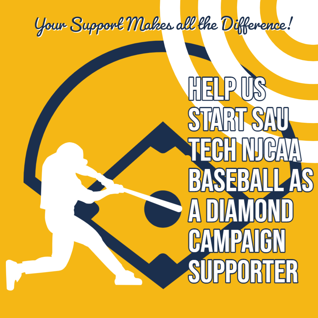 link to baseball fundraising